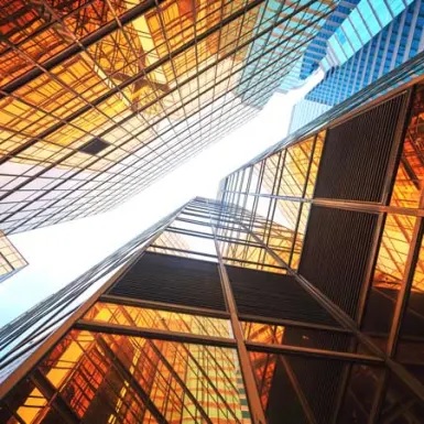 Rights and Liberties, Liability of the French Stateand Judicial Review