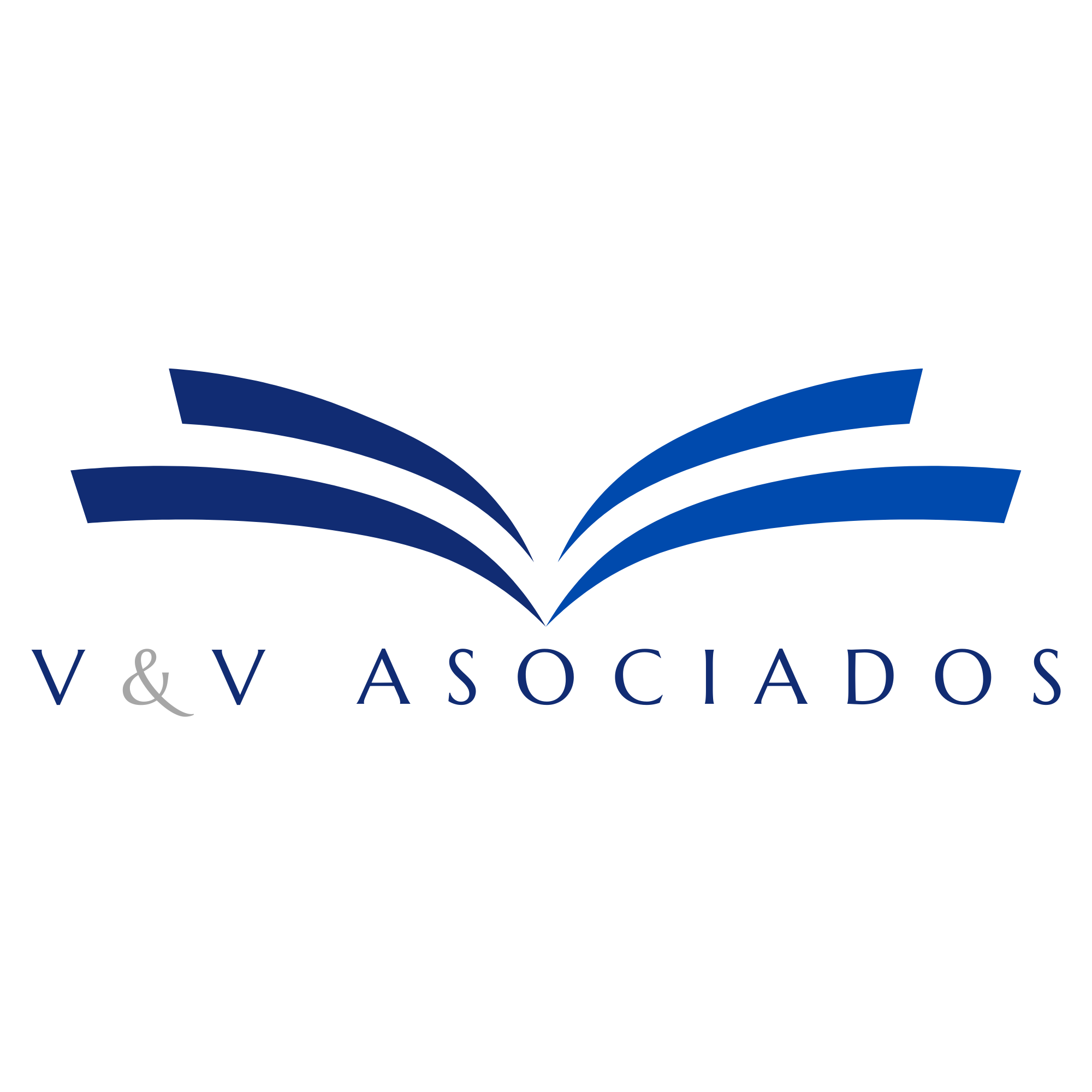 V&V Associates